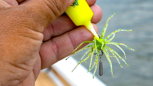 Do Scented Bass Baits Really Work?