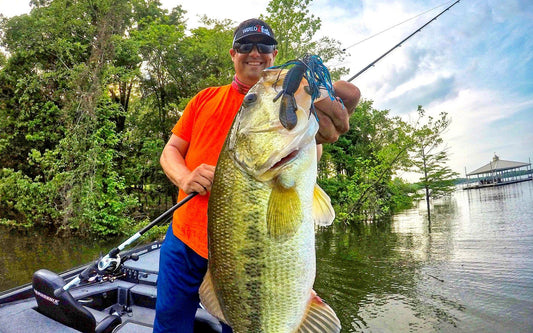 Give a Flip for Giant Bass